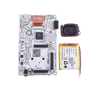 HackRF R10c Portapack H4M - RFCharge